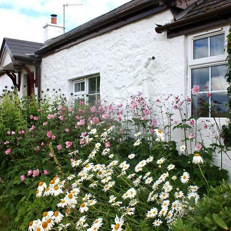 Tornaroan Cottage Балликасл Экстерьер фото