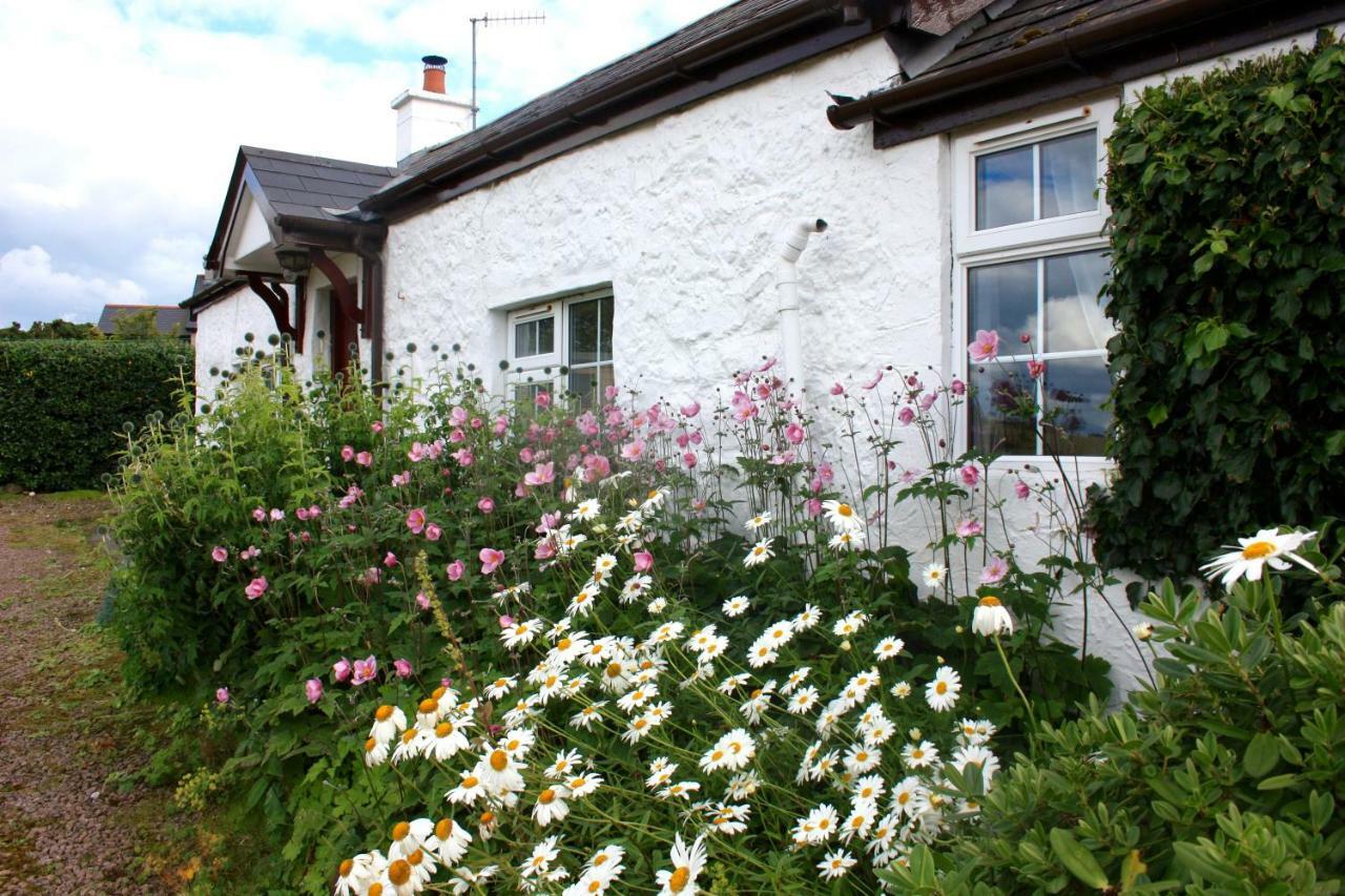 Tornaroan Cottage Балликасл Экстерьер фото
